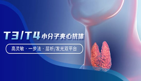 【小分子夾心法】甲功T3/T4，高靈敏&一步法